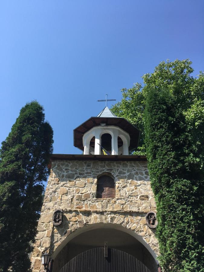 Pensiunea Elena Soveja Buitenkant foto